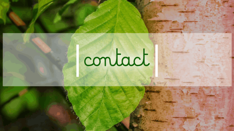 Le cabinet Contact Coordonnées Téléphone Email