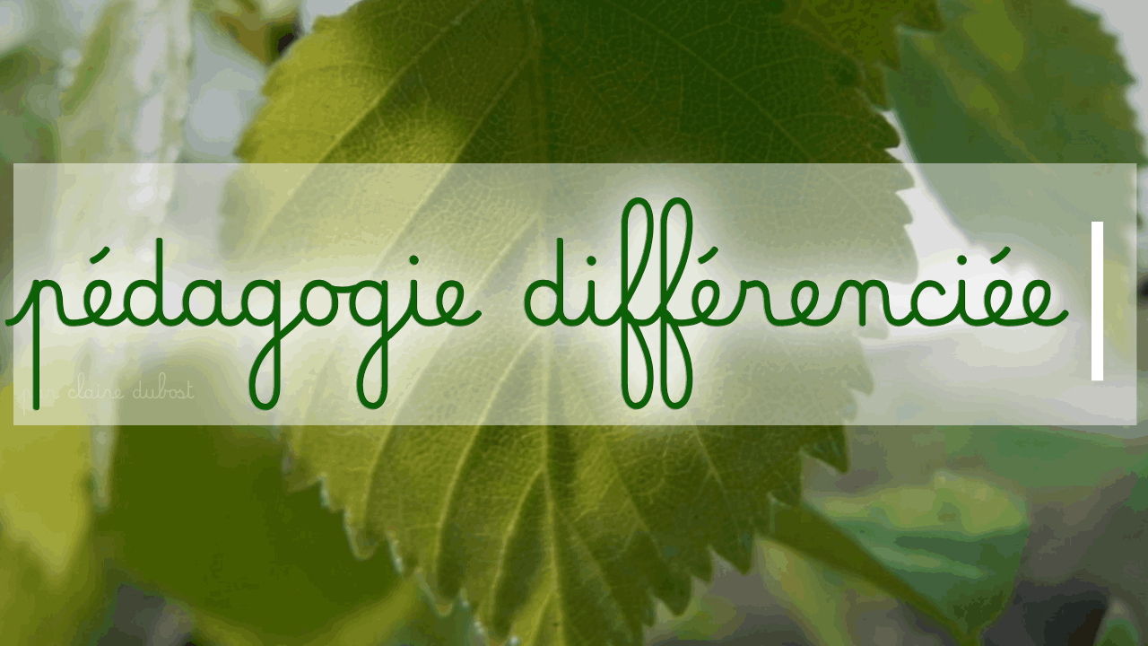 Soutien scolaire Remédiation pédagogique Cours particuliers