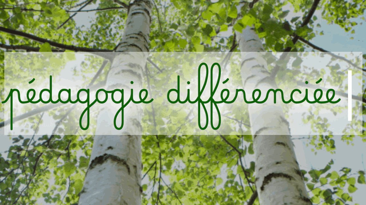 Cours Soutien scolaire Français Maths