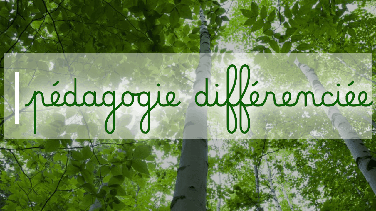 Mathématiques Français Soutien Cours en groupe