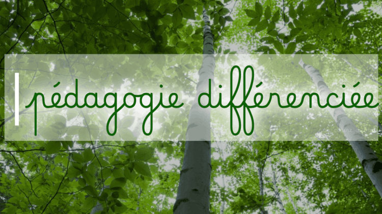 Mathématiques Français Soutien Cours en groupe