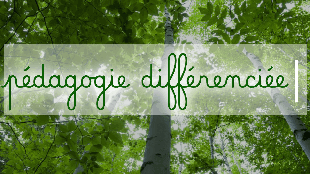 Cours particuliers Mathématiques Français Soutien scolaire