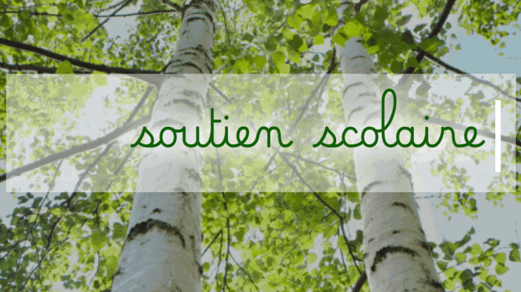 Soutien scolaire Remédiation pédagogique Cours particuliers