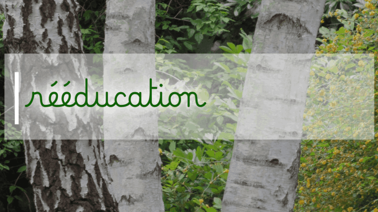 Le geste d'écriture Méthode Dumont Rééducation graphique