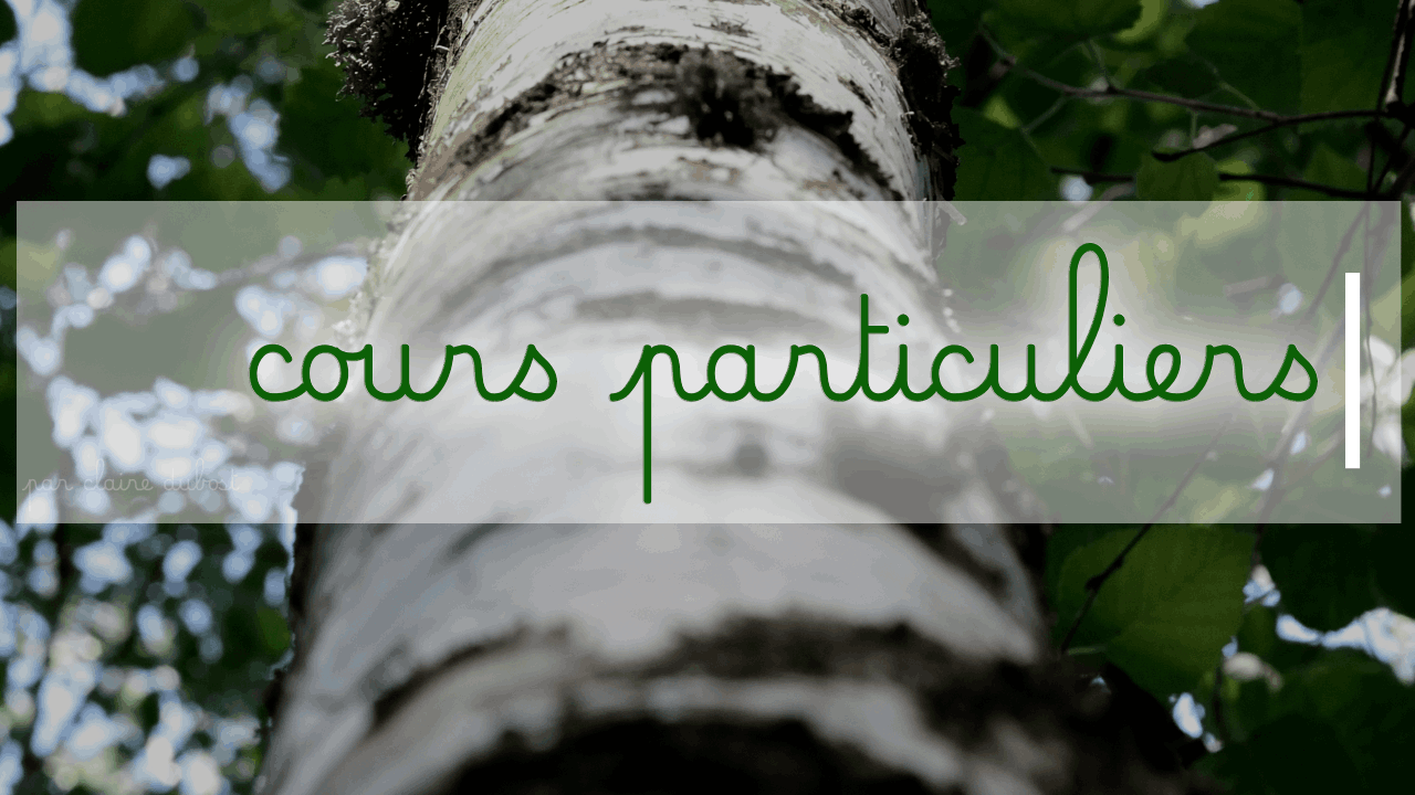 Soutien scolaire Français Baccalauréat Brevet