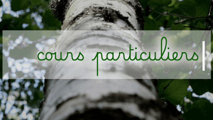 Soutien scolaire Français Baccalauréat Brevet