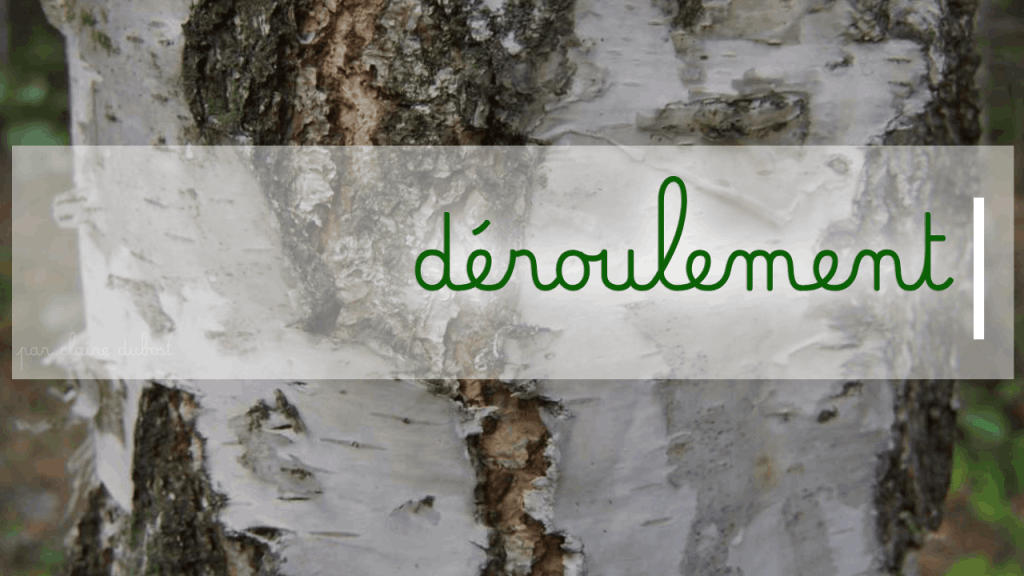 Rééducation en écriture Méthode Dumont Enfant Adulte