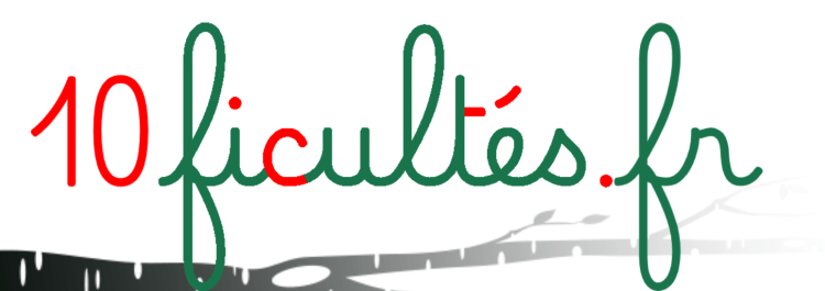 Logo Dysficultés.fr